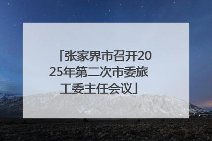 张家界市召开2025年第二次市委旅工委主任会议