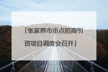 张家界市重点招商引资项目调度会召开