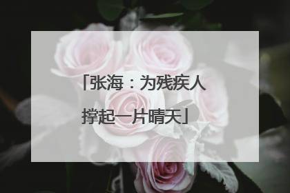 张海：为残疾人撑起一片晴天