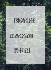 张涛出任江西分宜县委书记