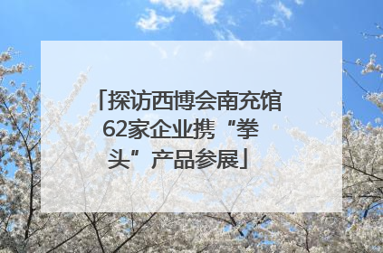 探访西博会南充馆 62家企业携“拳头”产品参展
