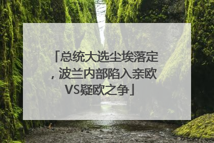 总统大选尘埃落定，波兰内部陷入亲欧VS疑欧之争