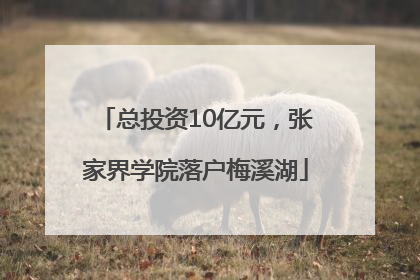 总投资10亿元，张家界学院落户梅溪湖