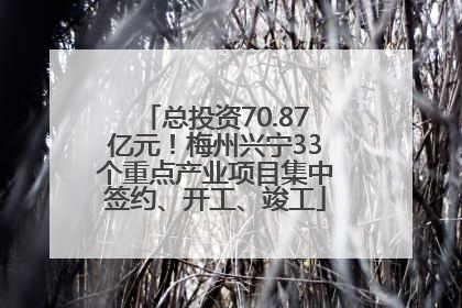 总投资70.87亿元！梅州兴宁33个重点产业项目集中签约、开工、竣工