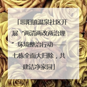 思阳镇温泉社区开展“两清两改两治理”环境整治行动——七栋全面大扫除，共建洁净家园