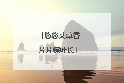悠悠艾草香 片片粽叶长