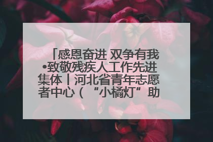 感恩奋进 双争有我•致敬残疾人工作先进集体丨河北省青年志愿者中心（“小橘灯”助残接力计划实施团队）：用温暖陪伴，守护特殊孩子成长