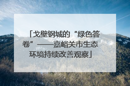 戈壁钢城的“绿色答卷”——嘉峪关市生态环境持续改善观察