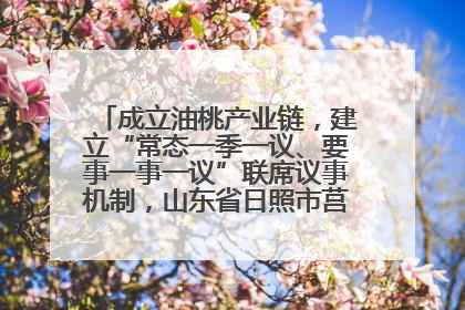 成立油桃产业链，建立“常态一季一议、要事一事一议”联席议事机制，山东省日照市莒县果庄镇——13个党小组“全周期”育果