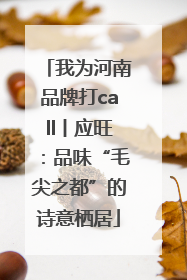 我为河南品牌打call丨应旺：品味“毛尖之都”的诗意栖居