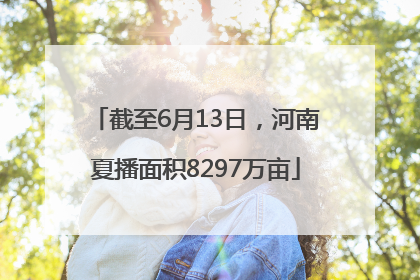 截至6月13日，河南夏播面积8297万亩