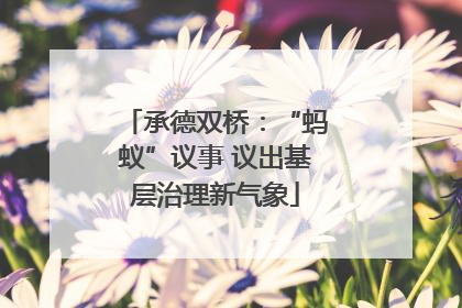 承德双桥：“蚂蚁”议事 议出基层治理新气象