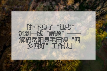 扑下身子“迎考” 沉到一线“解题”——解码岳阳县毛田镇“四多四好”工作法