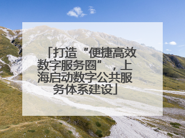 打造“便捷高效数字服务圈”，上海启动数字公共服务体系建设