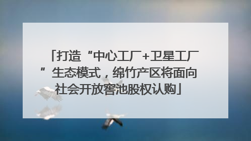 打造“中心工厂+卫星工厂”生态模式，绵竹产区将面向社会开放窖池股权认购