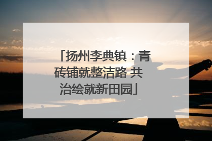 扬州李典镇：青砖铺就整洁路 共治绘就新田园