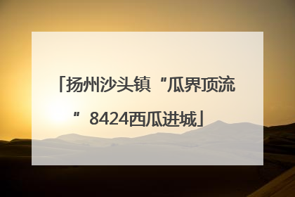 扬州沙头镇“瓜界顶流”8424西瓜进城