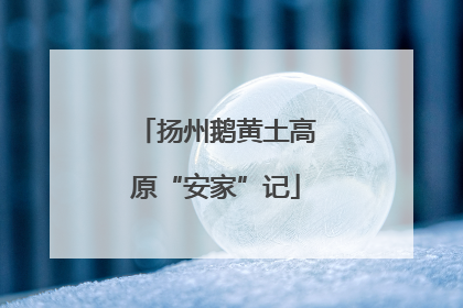 扬州鹅黄土高原“安家”记
