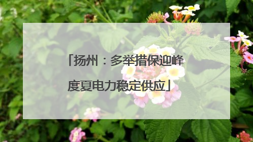 扬州：多举措保迎峰度夏电力稳定供应