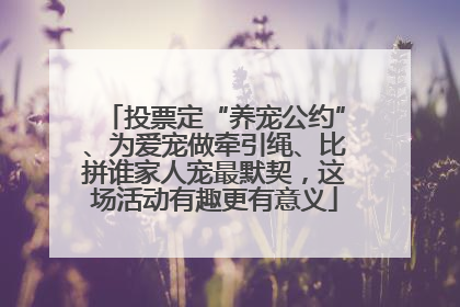 投票定“养宠公约”、为爱宠做牵引绳、比拼谁家人宠最默契，这场活动有趣更有意义