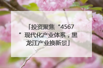 投资聚焦“4567”现代化产业体系，黑龙江产业换新景