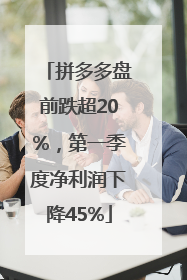拼多多盘前跌超20%，第一季度净利润下降45%
