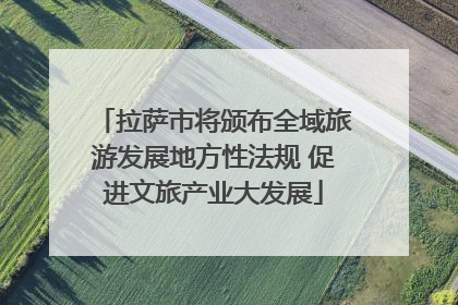 拉萨市将颁布全域旅游发展地方性法规 促进文旅产业大发展