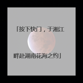 按下快门，于湘江畔赴湖南花海之约