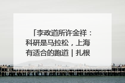 李政道所许金祥：科研是马拉松，上海有适合的跑道｜扎根上海，从0到1