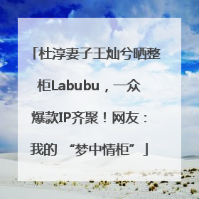 杜淳妻子王灿兮晒整柜Labubu，一众爆款IP齐聚！网友：我的 “梦中情柜”