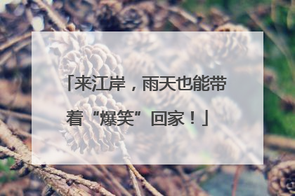 来江岸，雨天也能带着“爆笑”回家！
