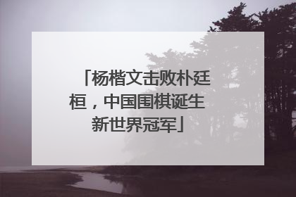 杨楷文击败朴廷桓，中国围棋诞生新世界冠军