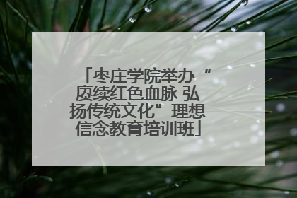 枣庄学院举办“赓续红色血脉 弘扬传统文化”理想信念教育培训班