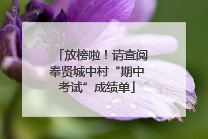 放榜啦！请查阅奉贤城中村“期中考试”成绩单