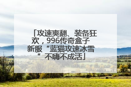 攻速爽翻、装备狂欢，996传奇盒子新服“蓝猫攻速冰雪”不嗨不成活