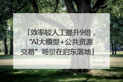 效率较人工提升9倍，“AI大模型+公共资源交易”场景在启东落地