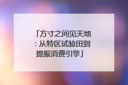方寸之间见天地：从特区试验田到提振消费引擎