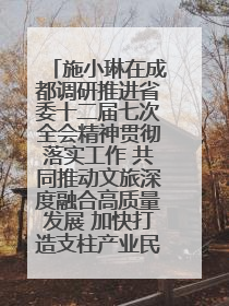 施小琳在成都调研推进省委十二届七次全会精神贯彻落实工作 共同推动文旅深度融合高质量发展 加快打造支柱产业民生产业幸福产业
