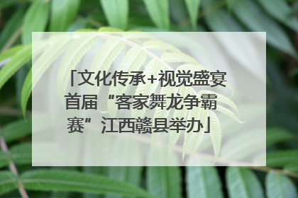 文化传承+视觉盛宴 首届“客家舞龙争霸赛”江西赣县举办