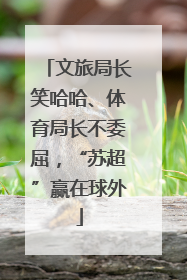 文旅局长笑哈哈、体育局长不委屈，“苏超”赢在球外