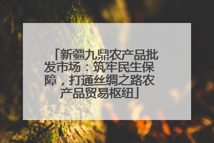 新疆九鼎农产品批发市场：筑牢民生保障，打通丝绸之路农产品贸易枢纽