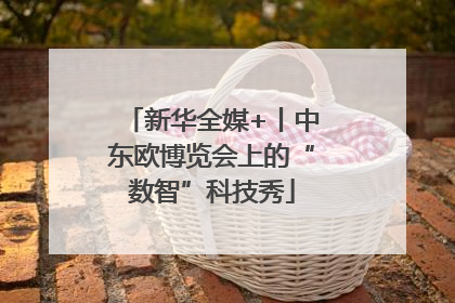 新华全媒+丨中东欧博览会上的“数智”科技秀