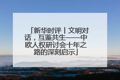 新华时评丨文明对话，互鉴共生——中欧人权研讨会十年之路的深刻启示