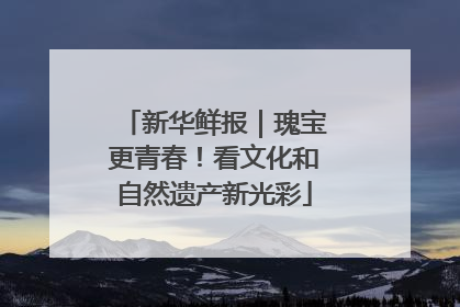 新华鲜报｜瑰宝更青春！看文化和自然遗产新光彩