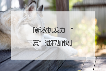 新农机发力 “三夏”进程加快
