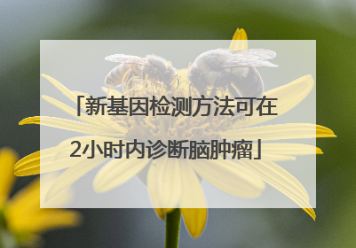 新基因检测方法可在2小时内诊断脑肿瘤