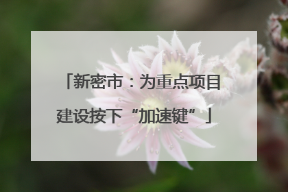 新密市：为重点项目建设按下“加速键”