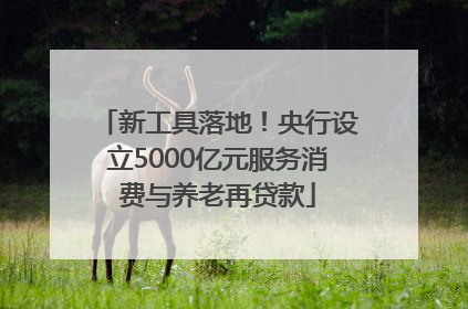 新工具落地！央行设立5000亿元服务消费与养老再贷款