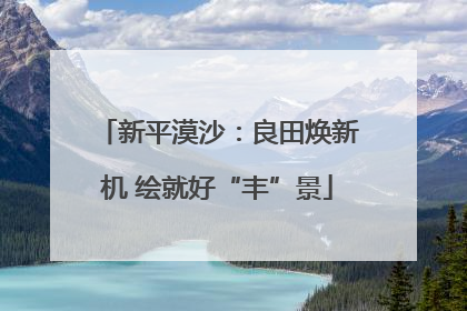新平漠沙：良田焕新机 绘就好“丰”景