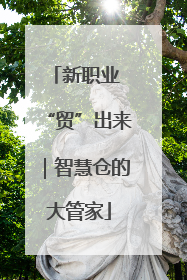 新职业 “贸”出来｜智慧仓的大管家